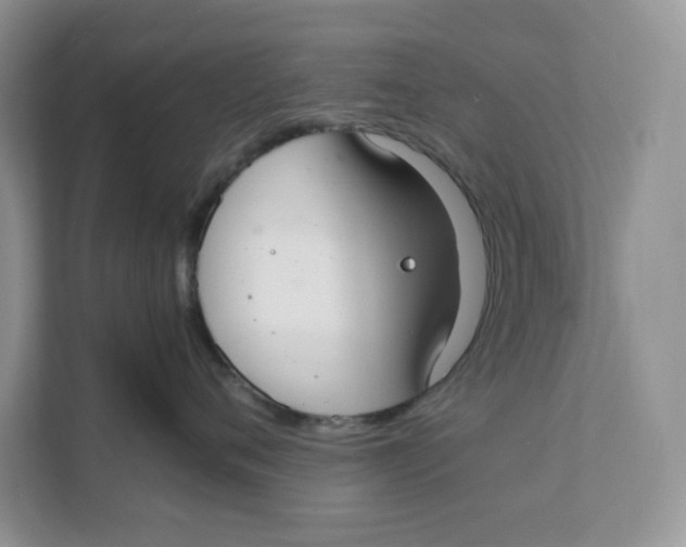 X0000111350720200907310952