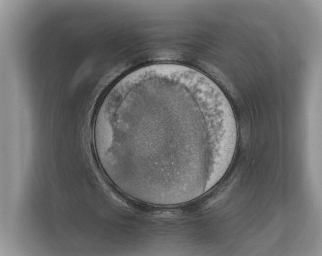 X0000111350721200907310951