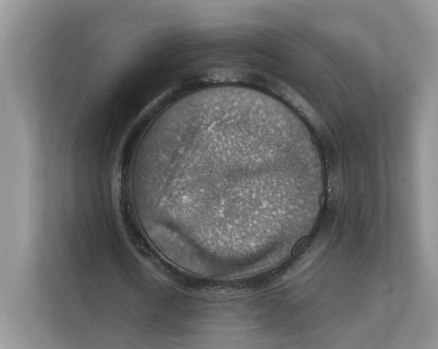 X0000111350722200907310951