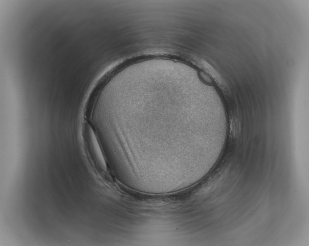 X0000111350724200907310951