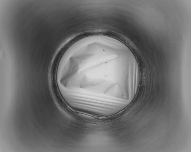 X0000111350726200907310951