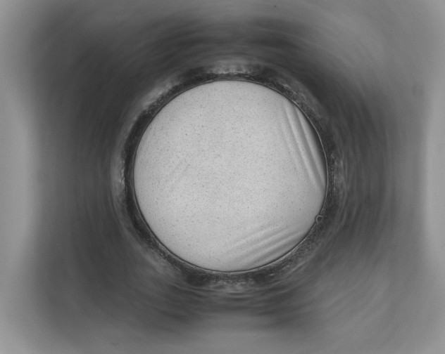 X0000111350727200907310951