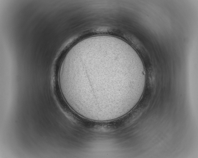 X0000111350728200907310951