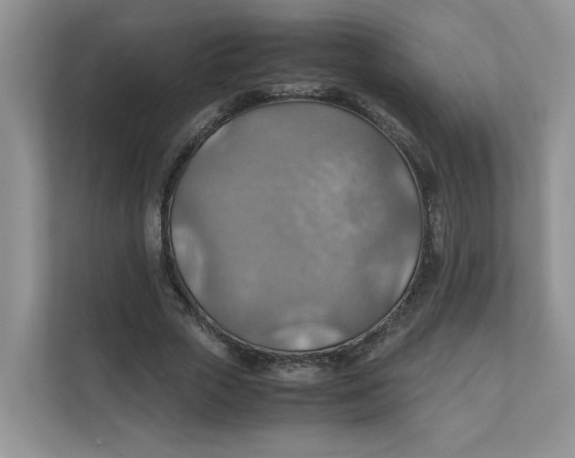 X0000111350729200907310951