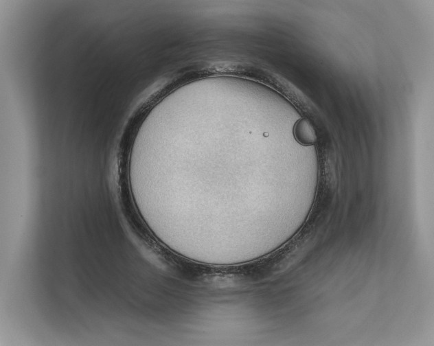 X0000111350730200907310951