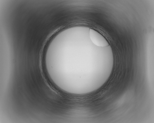 X0000111350732200907310951