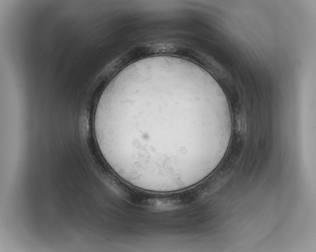 X0000111350733200907310951