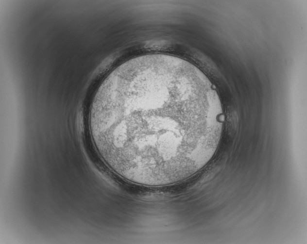 X0000111350734200907310951