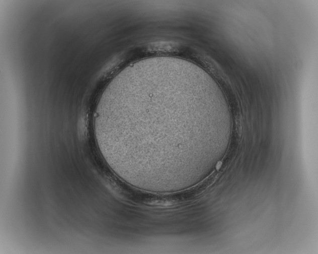 X0000111350735200907310951