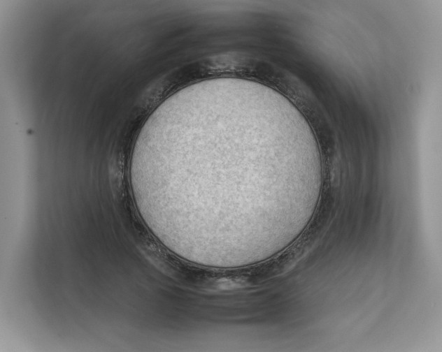 X0000111350737200907310951