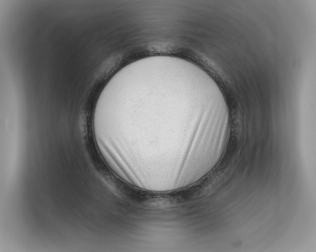 X0000111350738200907310951