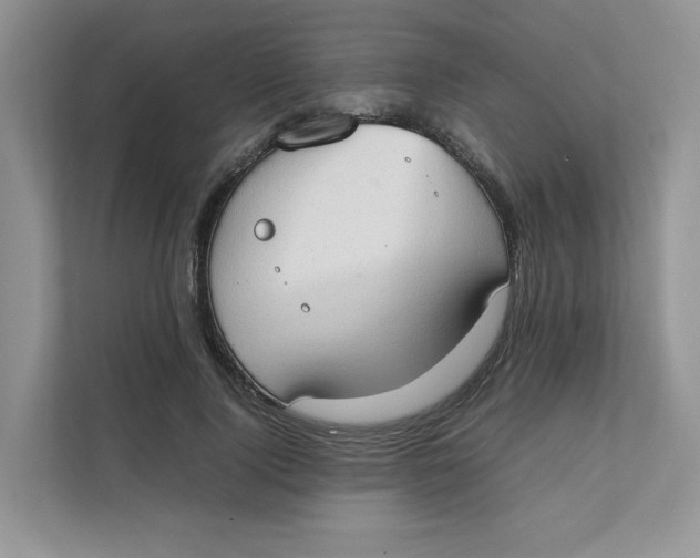 X0000111350740200907310952