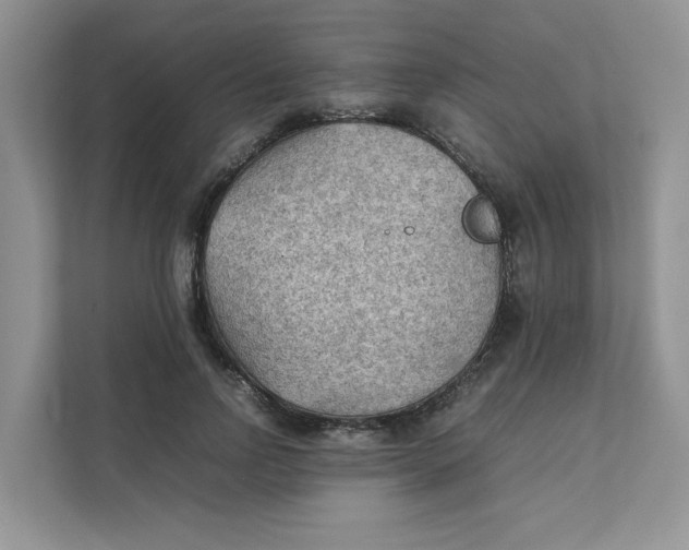 X0000111350742200907310952