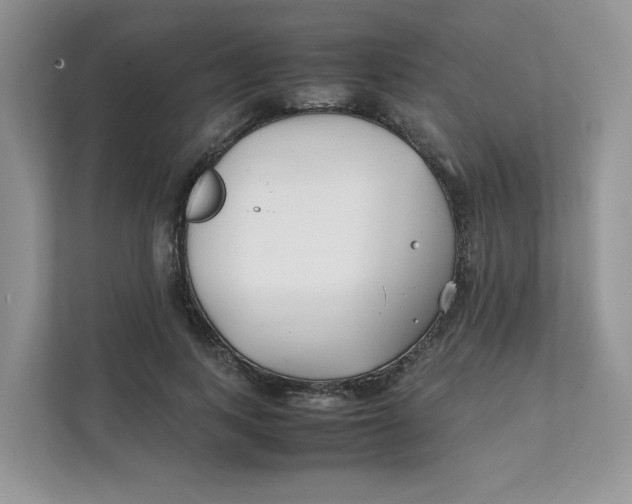 X0000111350743200907310952