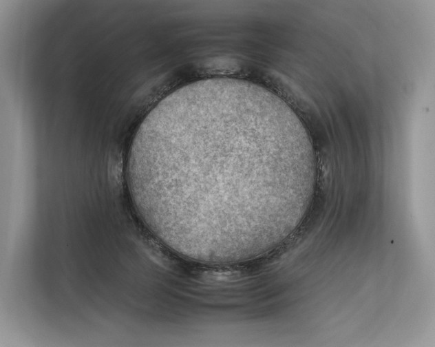 X0000111350745200907310952