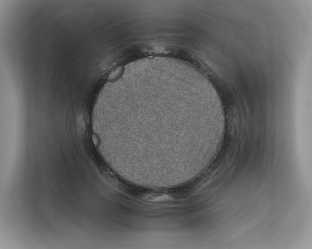 X0000111350747200907310952