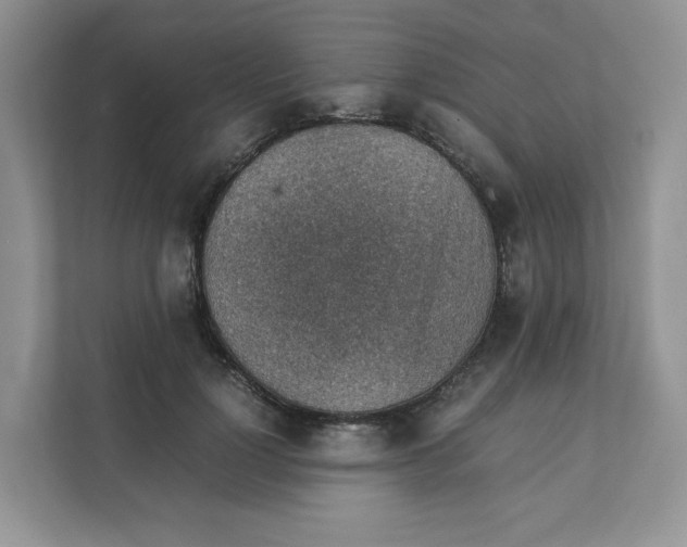 X0000111350748200907310952