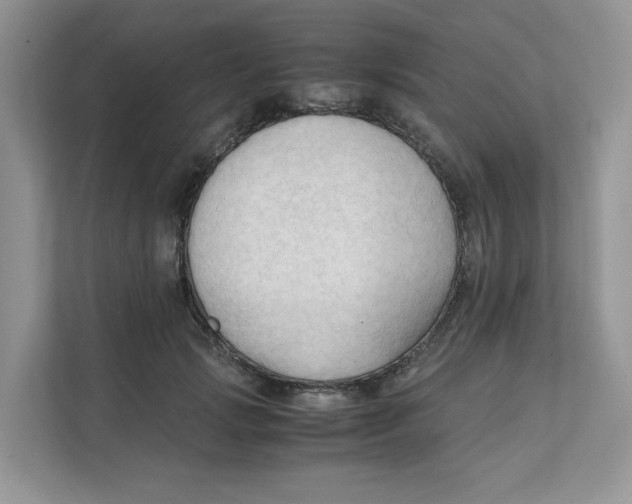 X0000111350749200907310952