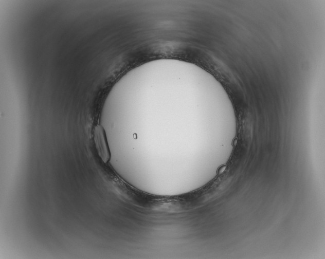 X0000111350750200907310952