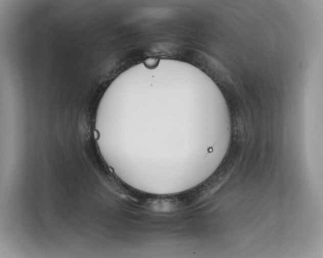 X0000111350751200907310952