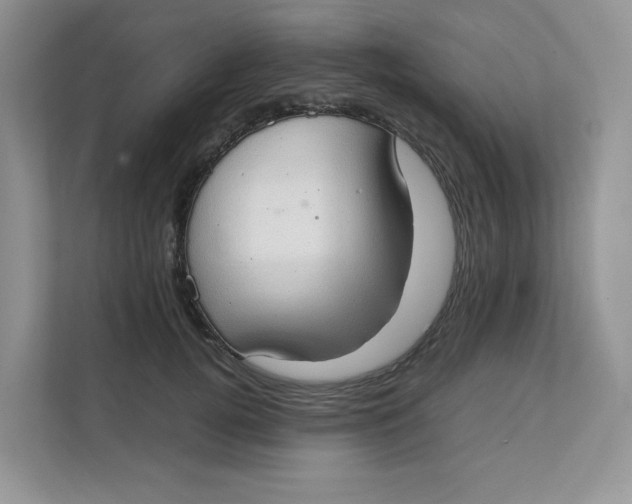 X0000111350752200907310952