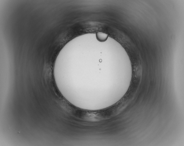 X0000111350753200907310952