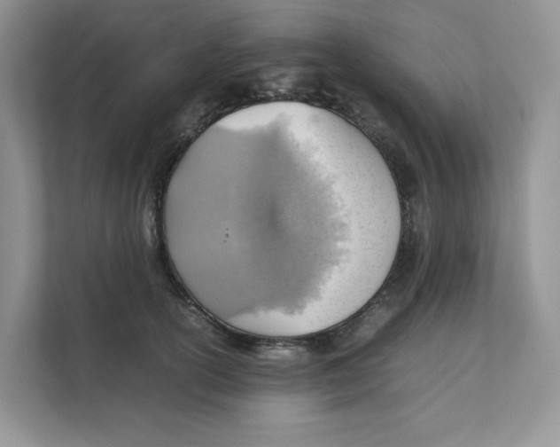 X0000111350754200907310952