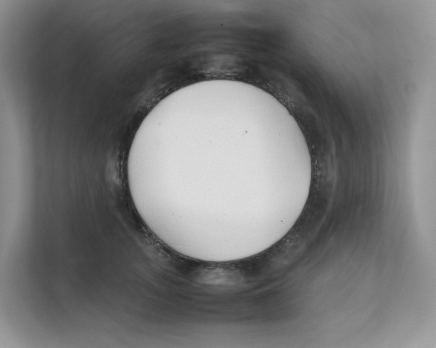 X0000111350755200907310952