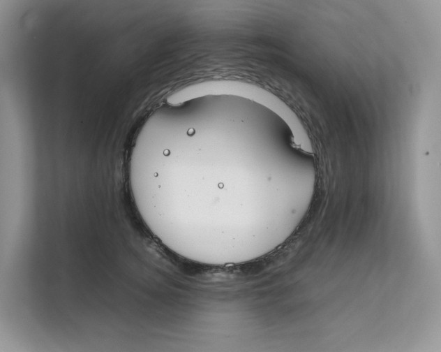 X0000111350756200907310952