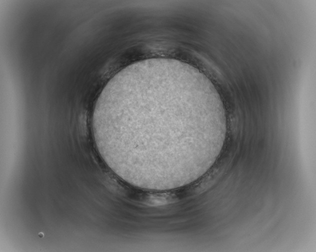 X0000111350757200907310952