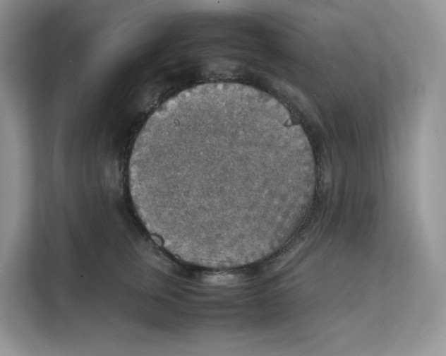 X0000111350759200907310952