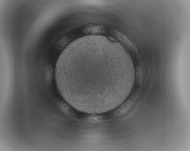 X0000111350760200907310952