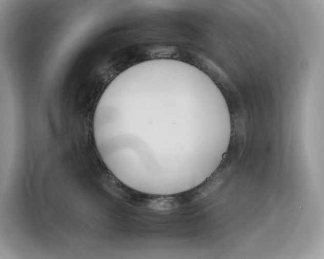 X0000111350761200907310952