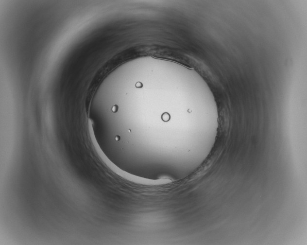 X0000111350762200907310952