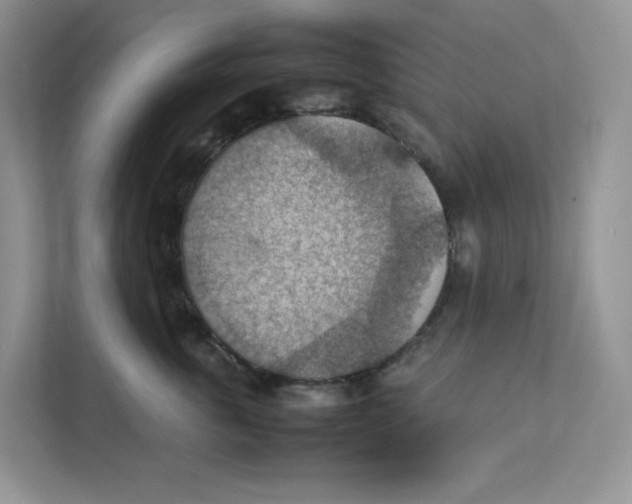 X0000111350763200907310952