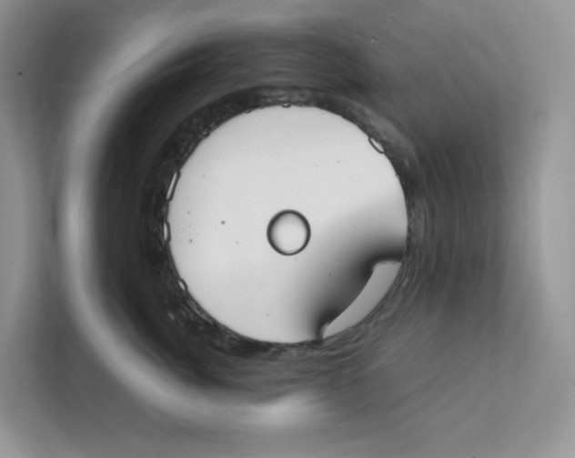 X0000111350764200907310952