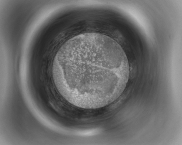 X0000111350765200907310952