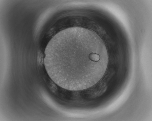 X0000111350766200907310952