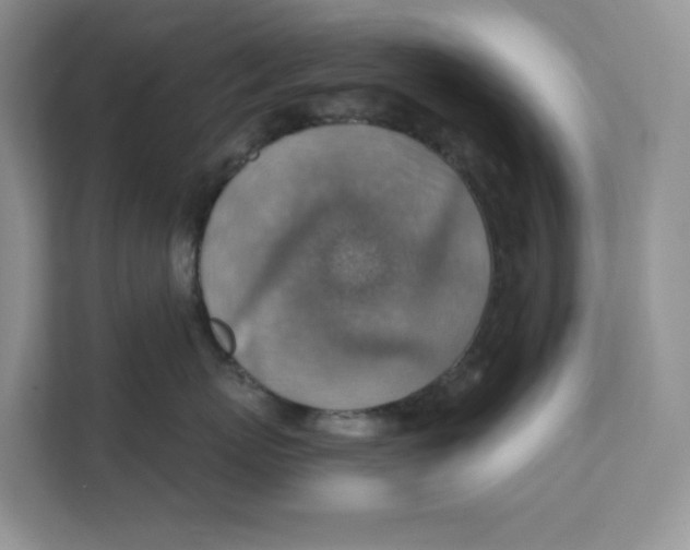 X0000111350767200907310952