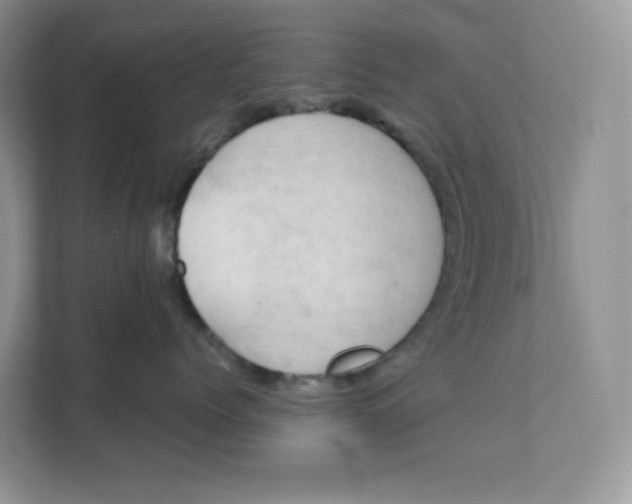 X0000111350768200907310952