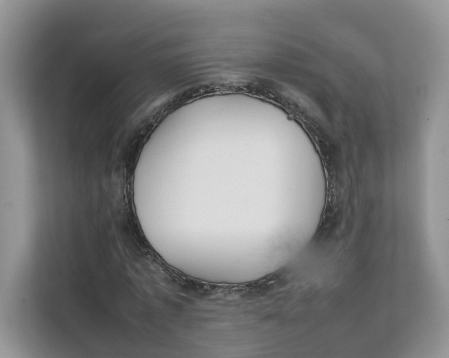 X0000111350773200907310951