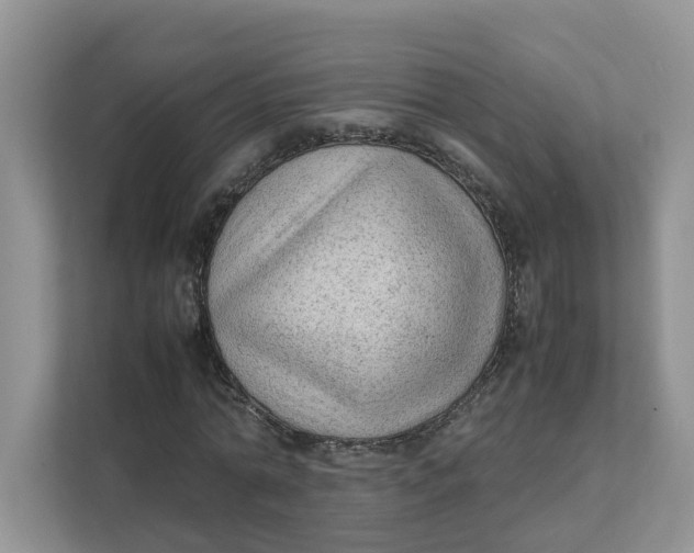 X0000111350774200907310951