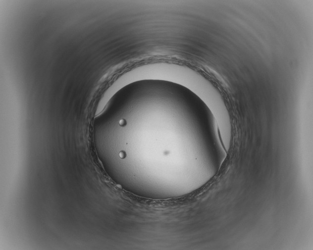 X0000111350776200907310951