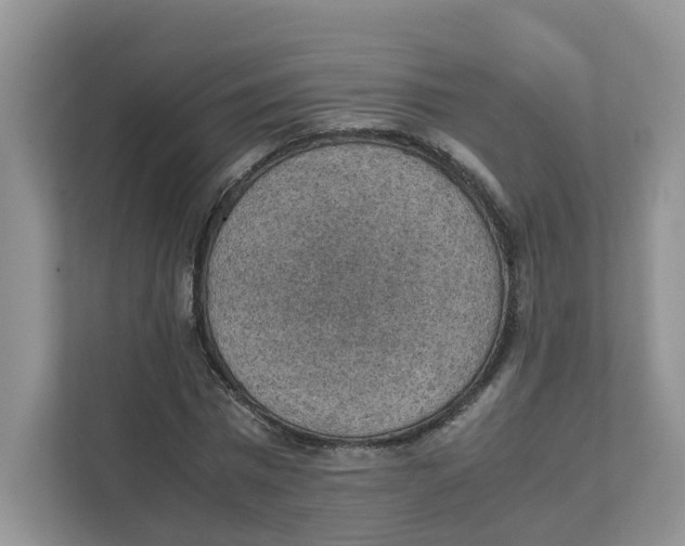 X0000111350777200907310951