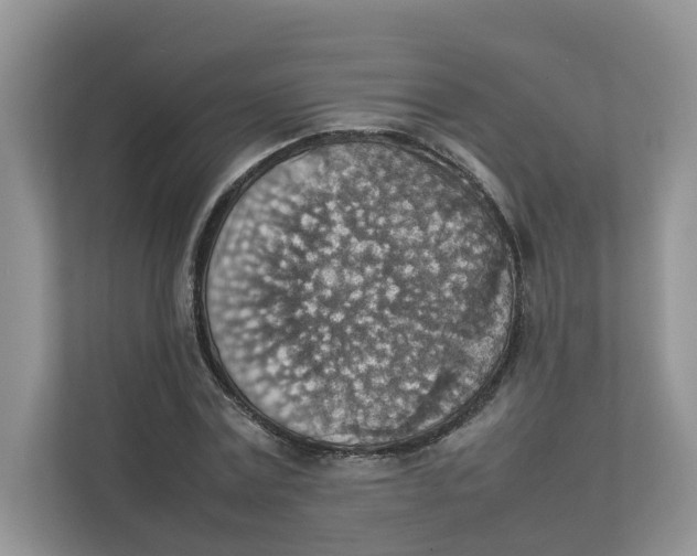 X0000111350779200907310951