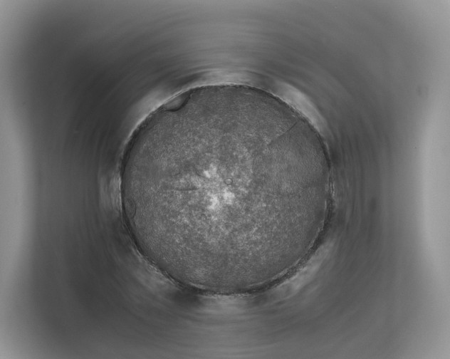 X0000111350781200907310951