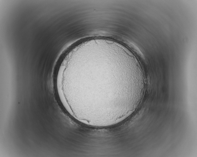 X0000111350784200907310951