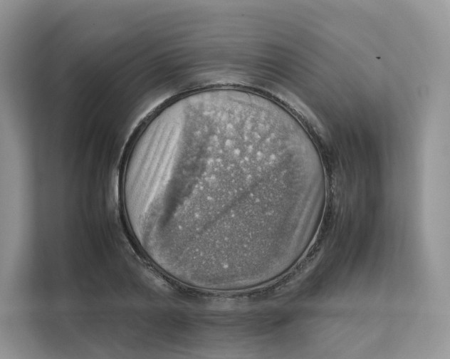 X0000111350790200907310951