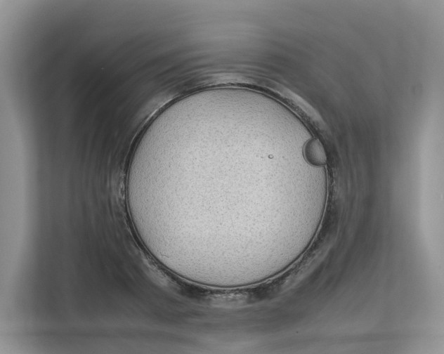 X0000111350793200907310951