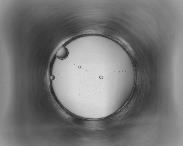 X0000111350796200907310951